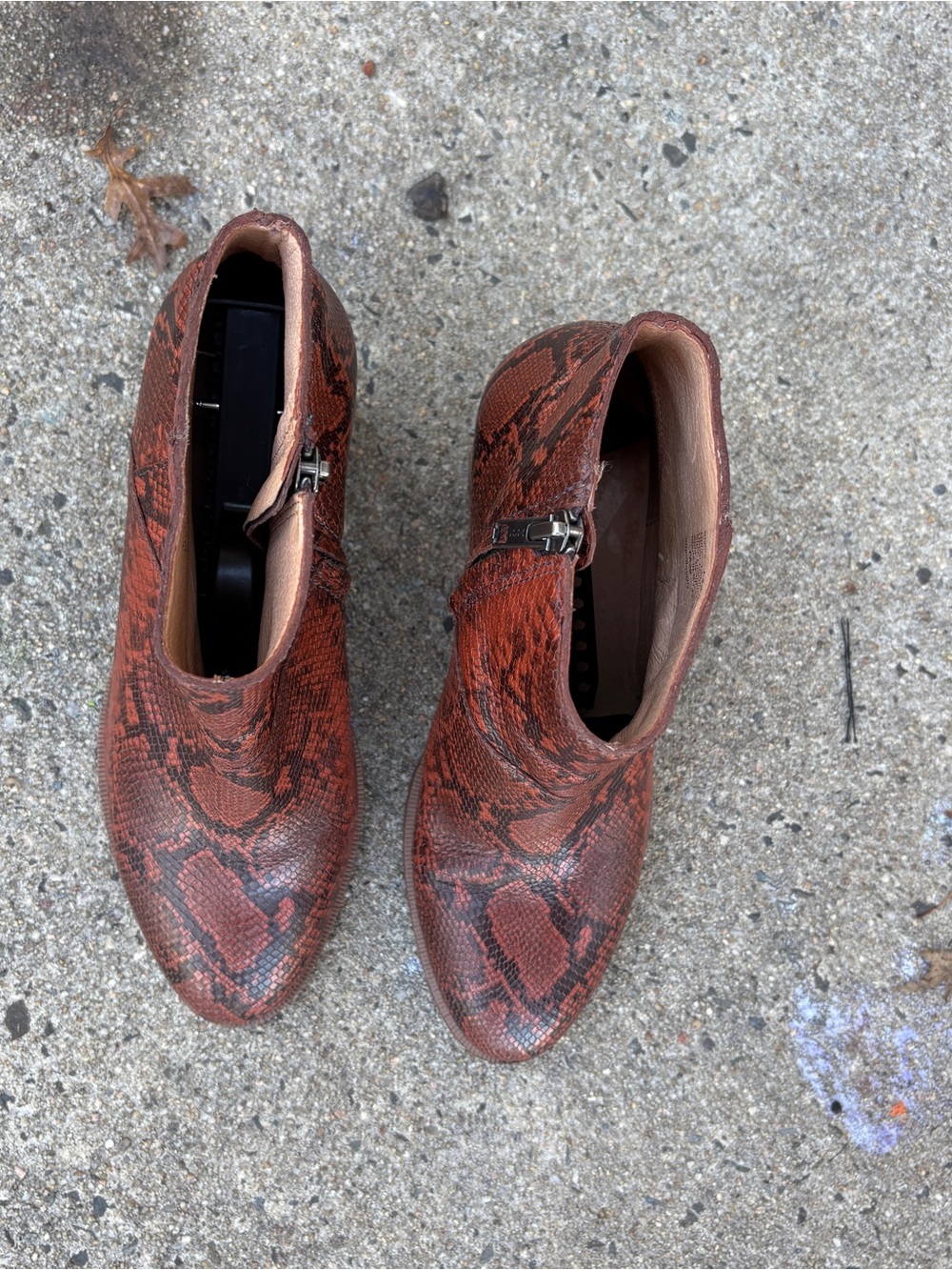 Madewell Snake Embossed Leather Ankle Boots Size 8 - Picture 15 of 16